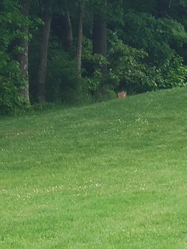 Golf Course «Pohick Bay Golf Course», reviews and photos, 10301 Gunston Road, Lorton, VA 22079, USA