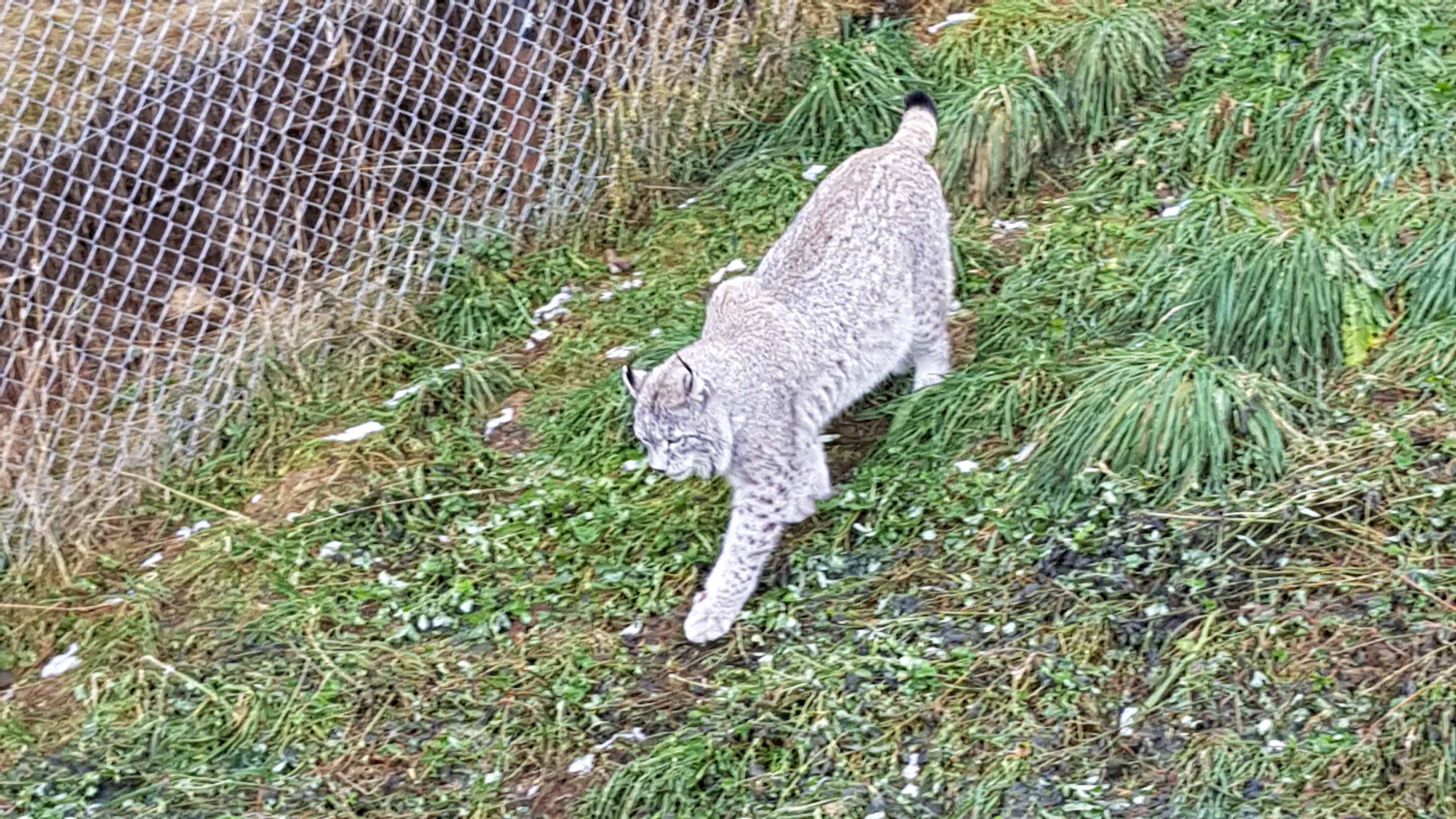 Photo n° 43 de l'avis de Nikolay.H fait le 26/12/2018 à 23:51