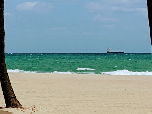 Museum «International Swimming Hall of Fame Museum», reviews and photos, 1 Hall of Fame Dr, Fort Lauderdale, FL 33316, USA