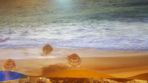 Aquarium «SEA LIFE Grapevine Aquarium», reviews and photos, 3000 Grapevine Mills Pkwy, Grapevine, TX 76051, USA