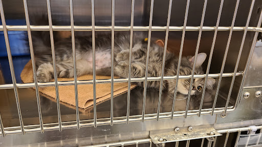 Pet Supply Store «PetSmart», reviews and photos, 1734 Old Fort Pkwy, Murfreesboro, TN 37129, USA