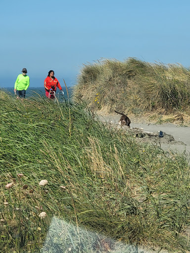 Event Venue «Curry County Fairgrounds», reviews and photos, 29392 Ellensburg Ave, Gold Beach, OR 97444, USA