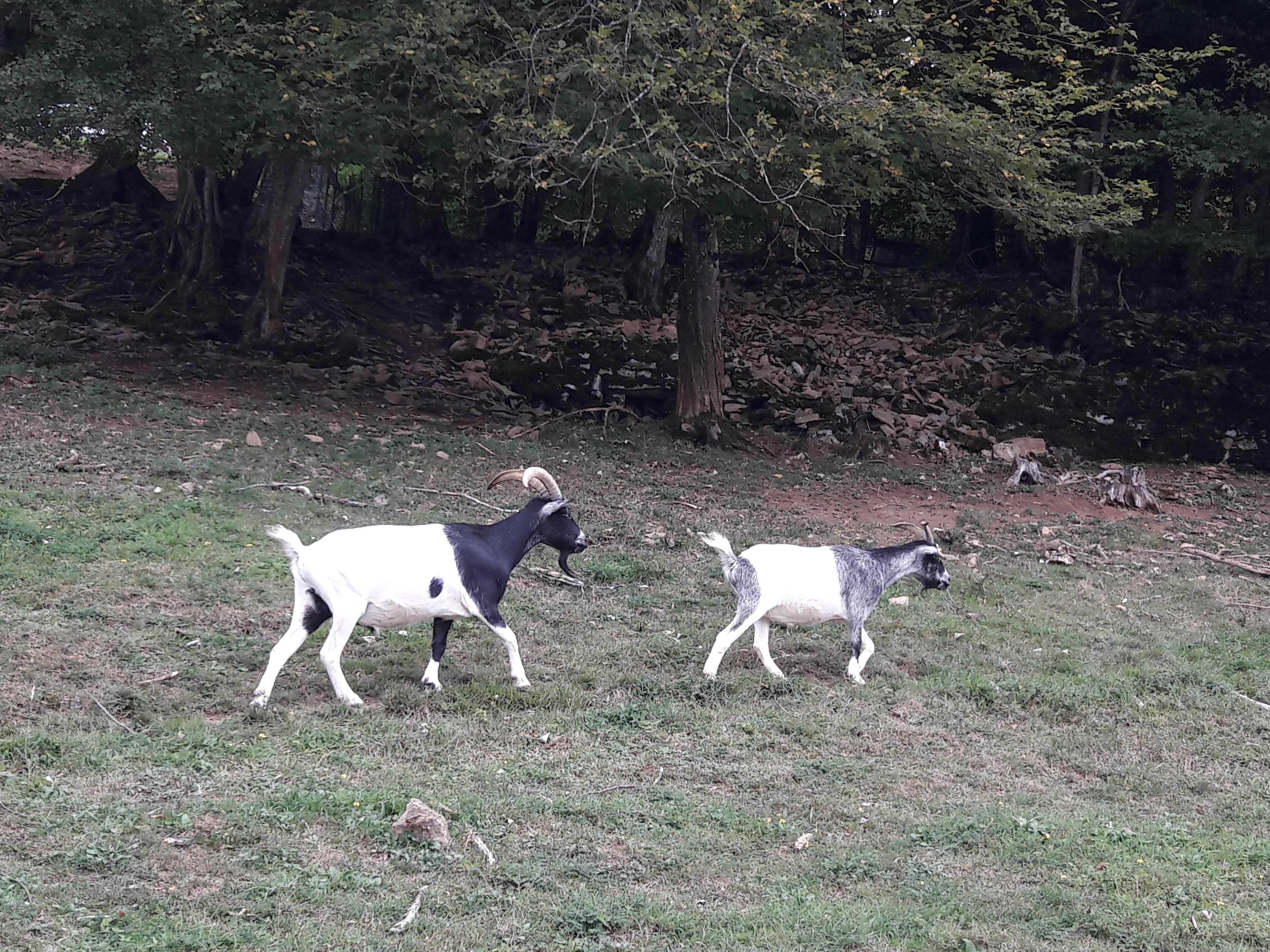Photo n° 3 de l'avis de Aurore.. fait le 28/08/2017 à 07:53