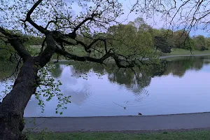 Sefton Park Lake - Permited Fishing image