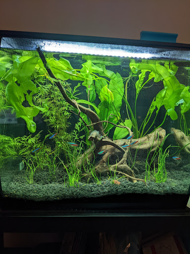 Pet Store «Animal House Pets, LLC», reviews and photos, 3101 Richmond Rd # 201, Lexington, KY 40509, USA