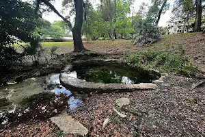 Purity Springs Park image