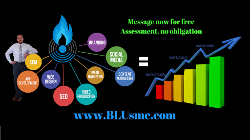 BLU Social Media & Consulting