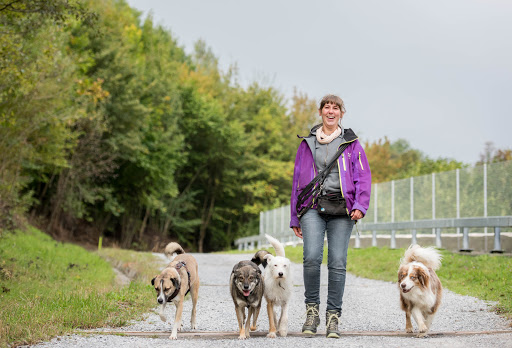 Zum frohen Hund GmbH