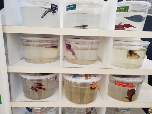 Pet Supply Store «Petco Animal Supplies», reviews and photos, 2242 N Richmond Rd, McHenry, IL 60051, USA