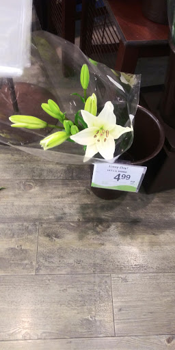 Grocery Store «Safeway», reviews and photos, 1960 W Main St, Mesa, AZ 85201, USA