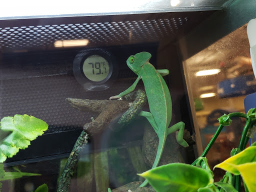 Pet Supply Store «PetSmart», reviews and photos, 1561 N Dysart Rd, Avondale, AZ 85323, USA