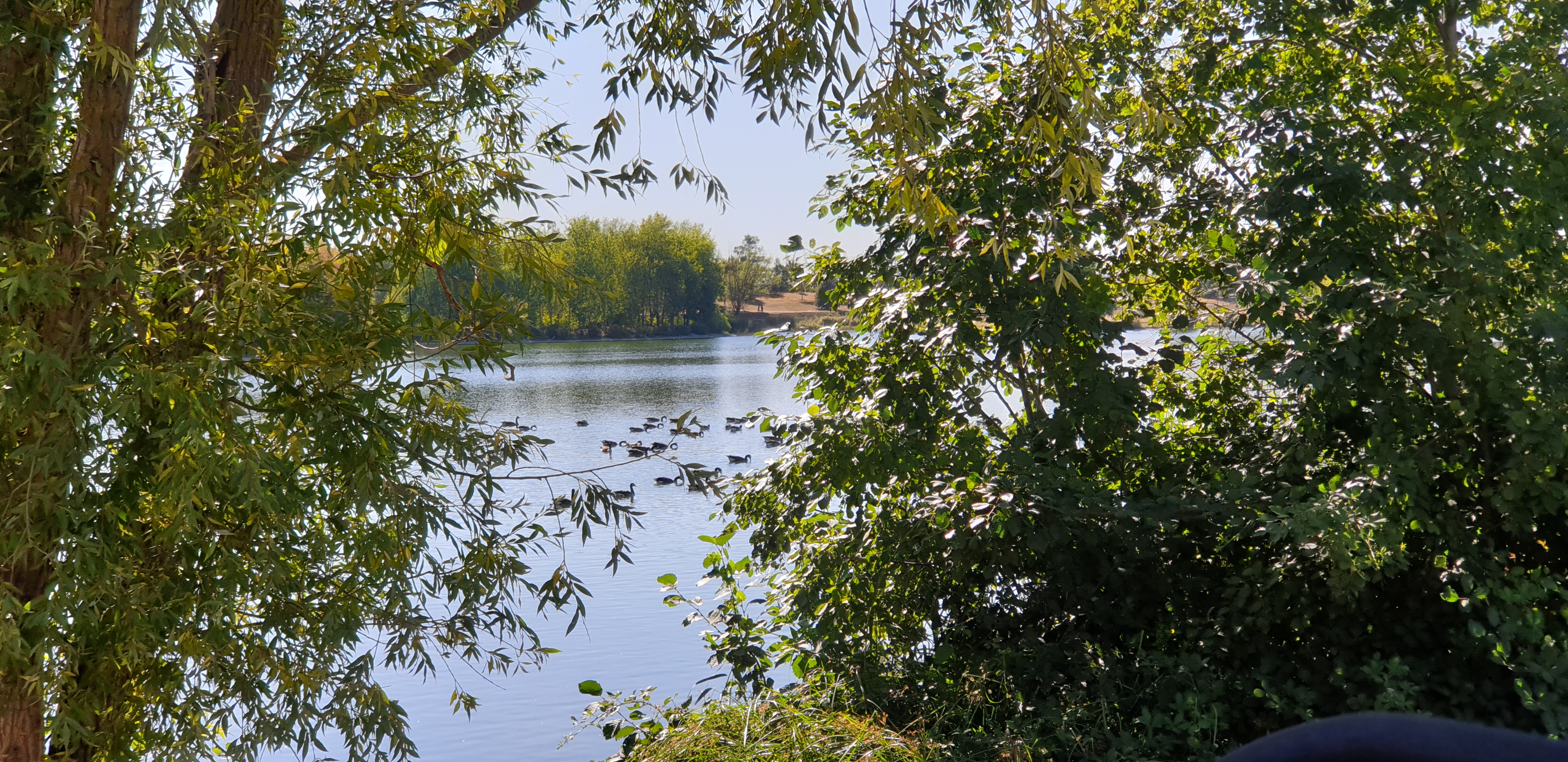 Photo n° 5 de l'avis de Oumar.o fait le 29/07/2020 à 16:42