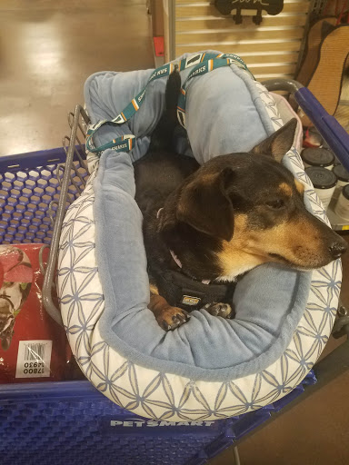 Pet Supply Store «PetSmart», reviews and photos, 2100 McHenry Ave, Modesto, CA 95350, USA