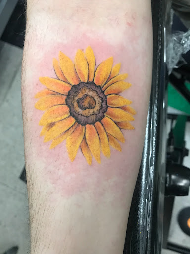 Explore dolphin tattoo ideas, creative tattoo ideas in Lawton, available at Impact Ink Tattoo Studios