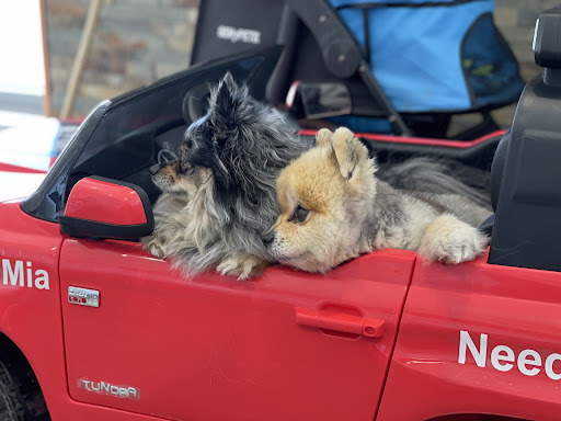 Car Dealer «Vanderstyne Toyota», reviews and photos, 4374 W Ridge Rd, Rochester, NY 14626, USA