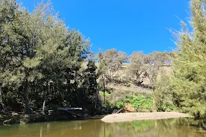 Turon River image