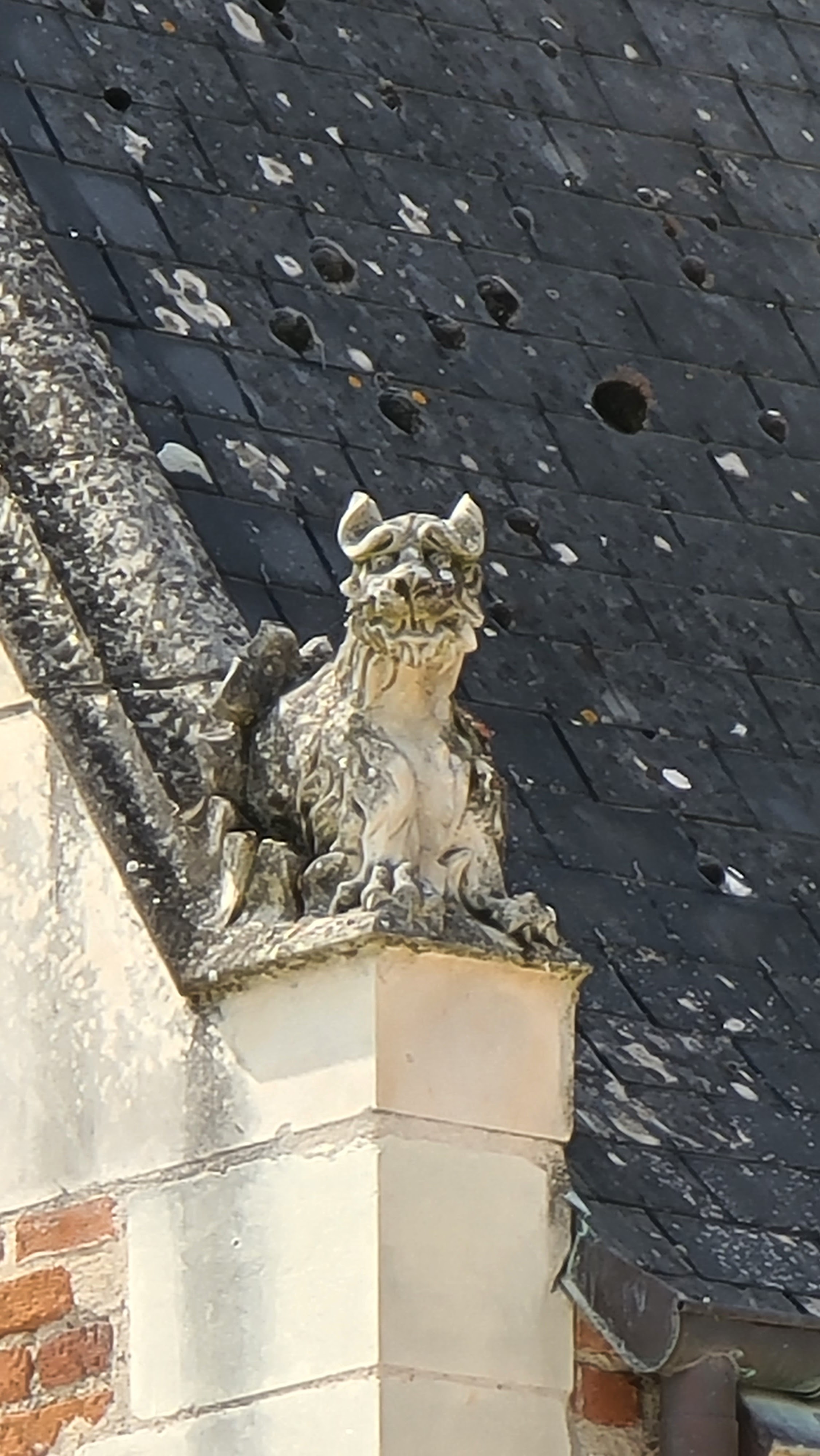 Photo n° 11 de l'avis de Josiane.l fait le 28/08/2023 à 20:08