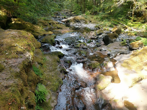 Bagby Hot Springs Trailhead