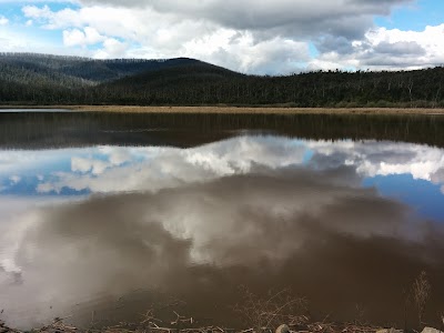 Photos of Kinglake National Park