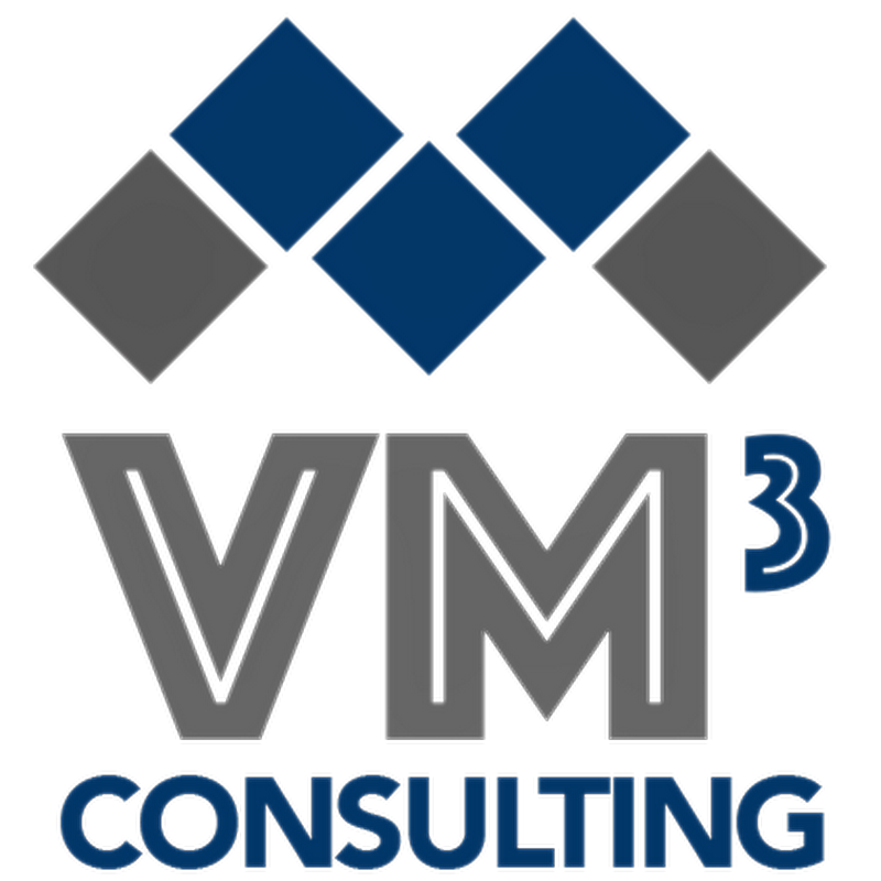 VM3 Consulting Corporation and VM3 Construction, LLC