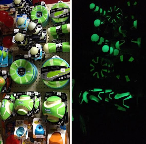 Pet Supply Store «Pet X Supplies & Tack», reviews and photos, 132 W Highland Rd Suite 101, Howell, MI 48843, USA