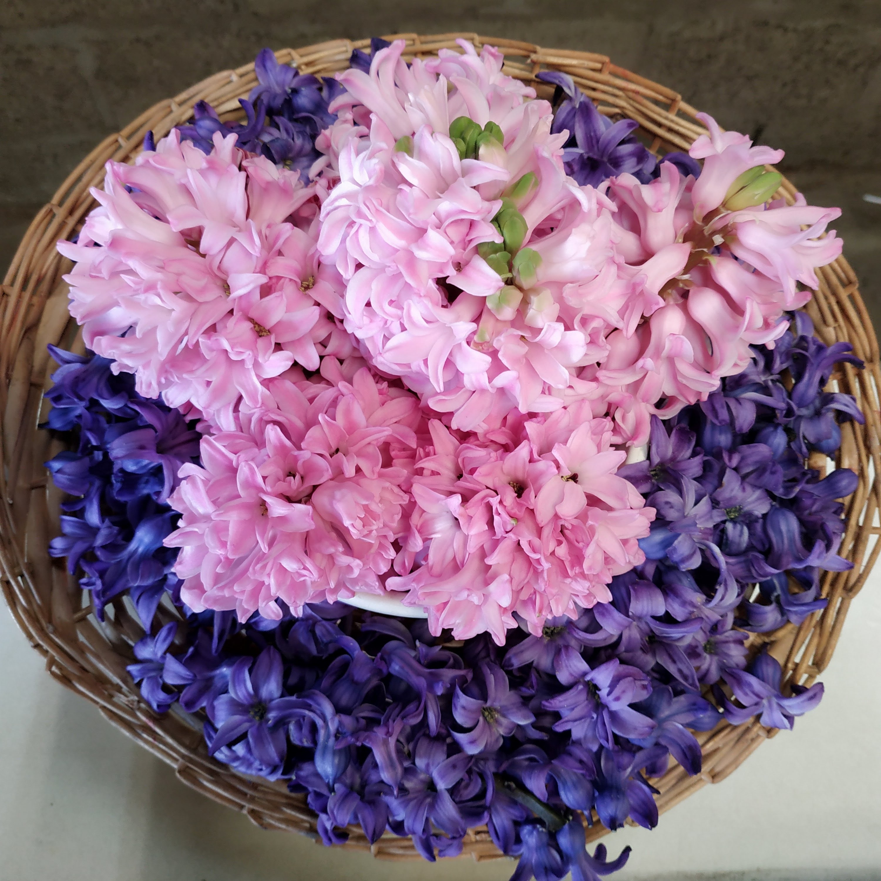 Photo n° 15 de l'avis de The.a fait le 05/04/2023 à 21:57