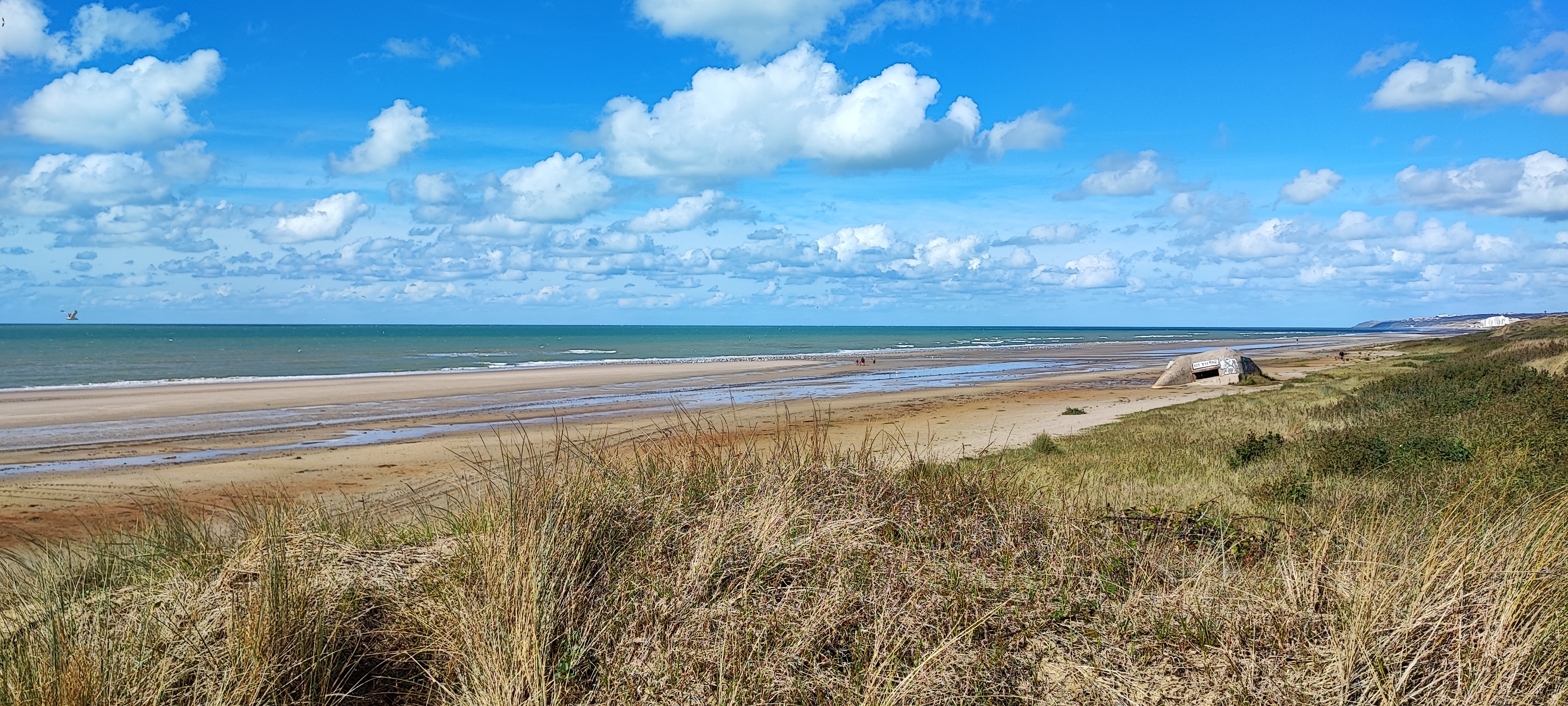 Photo n° 11 de l'avis de Laurence.A fait le 26/09/2022 à 11:14