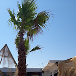 Photo n°4 de l'avis de oscar. fait le 24/07/2022 à 08:29 sur le  Naìs Beach Club à Trapani