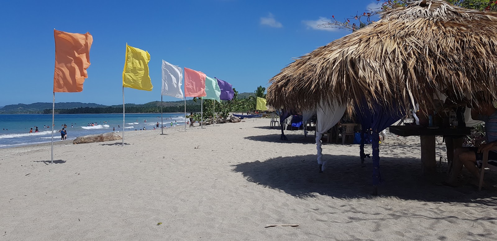 Foto av Playa Rogelio med lång rak strand