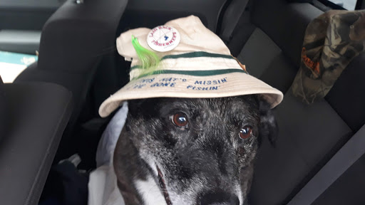 Pet Supply Store «Pet Supplies Plus», reviews and photos, 1510 Scranton Carbondale Hwy, Scranton, PA 18508, USA