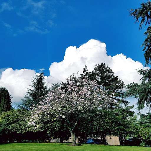 Funeral Home «Acacia Memorial Park & Funeral Home», reviews and photos, 14951 Bothell Way NE, Seattle, WA 98155, USA