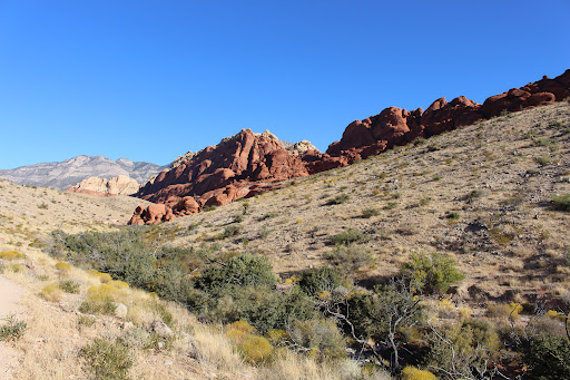 National Reserve «Red Rock Canyon National Conservation Area», reviews and photos, 1000 Scenic Loop Dr, Las Vegas, NV 89161, USA