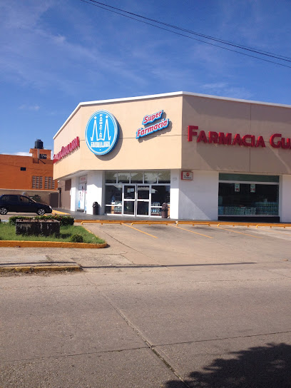 Farmacia Guadalajara, , Coatzacoalcos