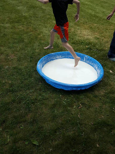 Environmental Organization «VINS Nature Center», reviews and photos, 6565 Woodstock Rd, Quechee, VT 05059, USA