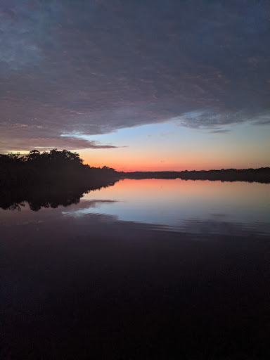 Nature Preserve «Mobbly Bayou Wilderness Preserve», reviews and photos, 423 Lafayette Blvd, Oldsmar, FL 34677, USA
