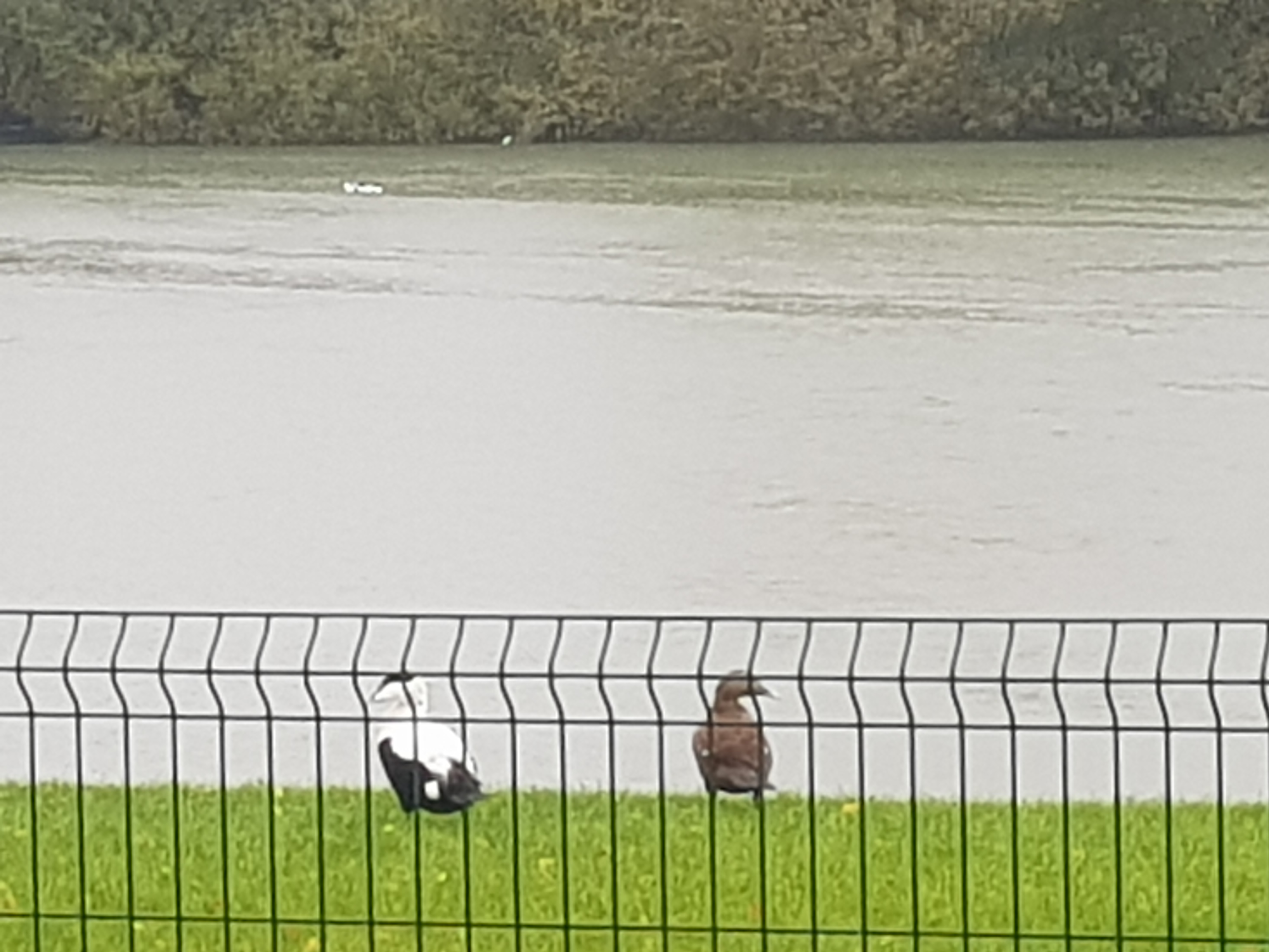 Photo n° 6 de l'avis de franck.e fait le 15/02/2020 à 13:03