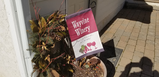 Winery «WAYVINE winery & vineyard», reviews and photos, 4374 Forge Rd, Nottingham, PA 19362, USA