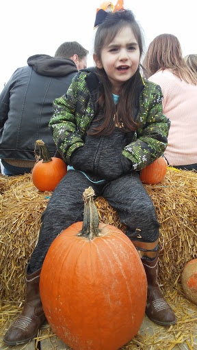 Farm «Bottom View Farm», reviews and photos, 185 Wilkerson Ln, Portland, TN 37148, USA