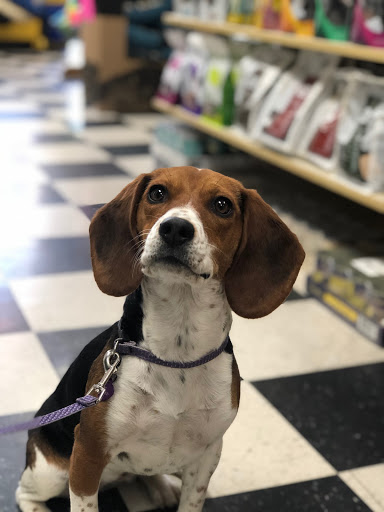 Pet Supply Store «Petropolis Camarillo», reviews and photos, 5800 Santa Rosa Rd Suite 144, Camarillo, CA 93010, USA