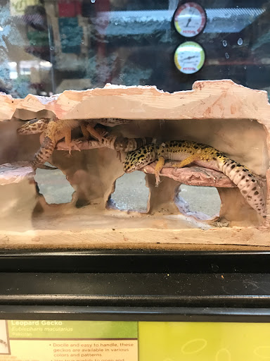 Pet Supply Store «Petco Animal Supplies», reviews and photos, 5260 W Baseline Rd, Laveen Village, AZ 85339, USA