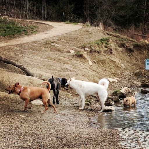 Shawnee Mission Park Dog Off-Leash Area