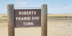 Roberts Prairie Dog Town