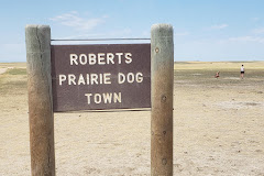 Roberts Prairie Dog Town