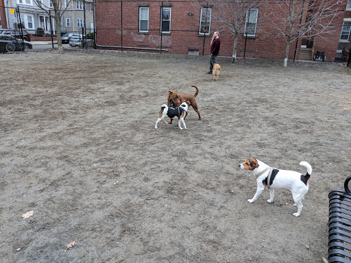 Park «Nunziato Field Dog Park», reviews and photos, Putnam St, Somerville, MA 02143, USA