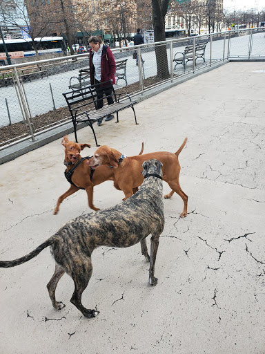 Photo of West Thames Dog Run