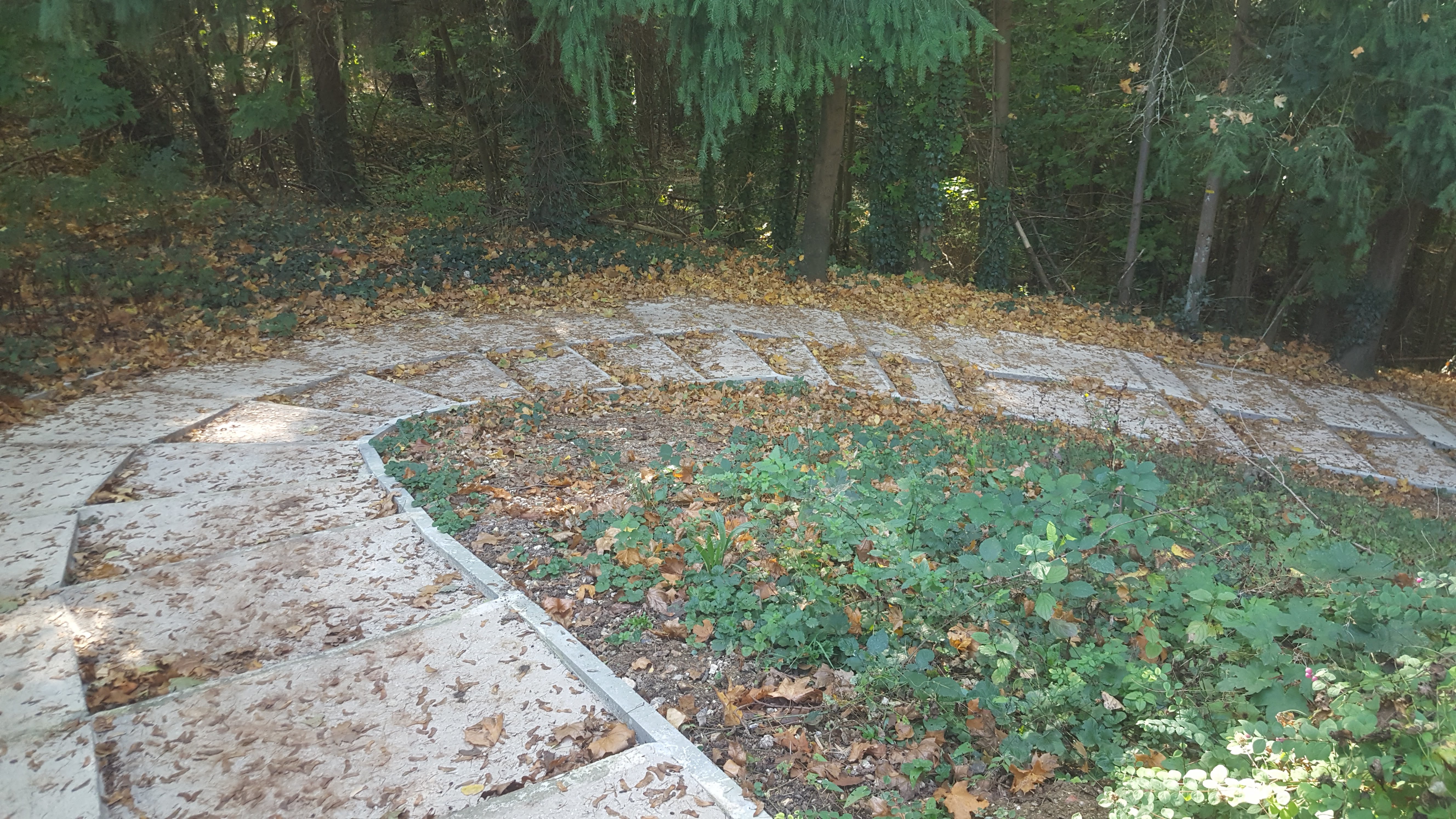Photo n° 11 de l'avis de Cathie.a fait le 20/10/2018 à 14:57