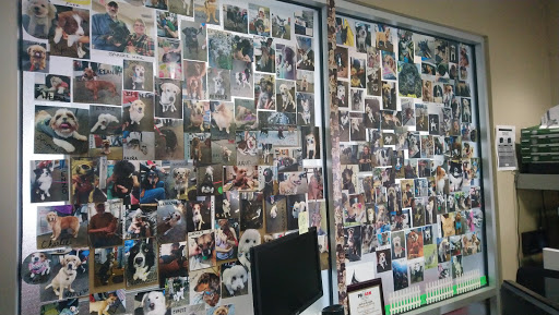 Toyota Dealer «Fred Anderson Toyota of Asheville», reviews and photos, 777 Brevard Rd, Asheville, NC 28806, USA