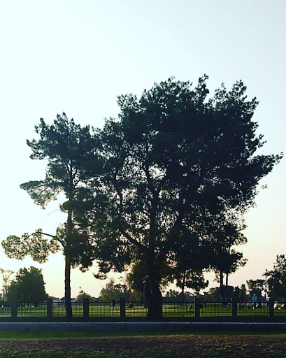 Golf Course «Dobson Ranch Golf Course», reviews and photos, 2155 S Dobson Rd, Mesa, AZ 85202, USA