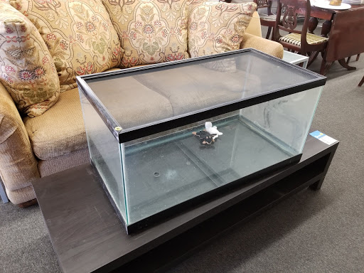 Non-Profit Organization «Society of St. Vincent de Paul - Mesa Thrift Store», reviews and photos, 2352 W Main St, Mesa, AZ 85201, USA