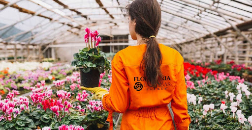 Floristería en Bogotá Las rosas farmer 2 Horas